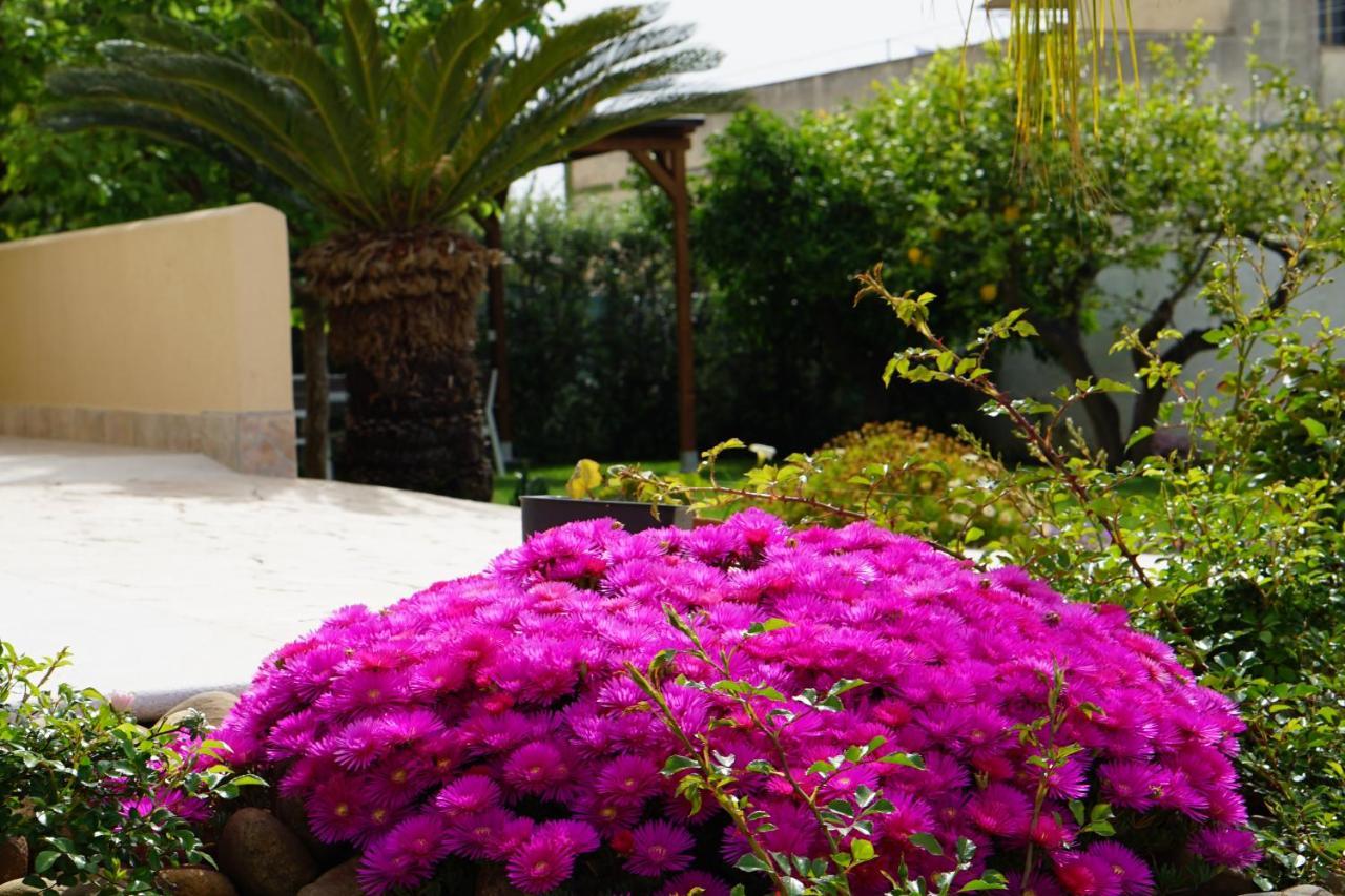 B&B Milena Paceco Exterior foto
